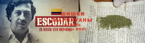 молекула духа Надым