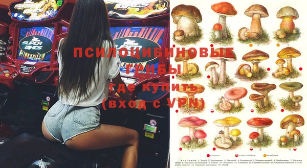 мдпв Навашино